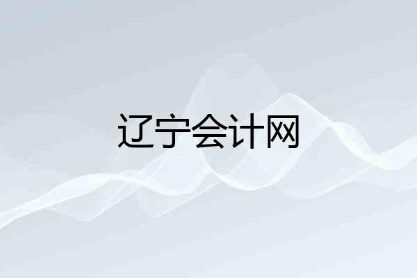 辽宁会计网
