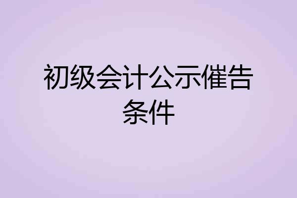 初级会计公示催告条件