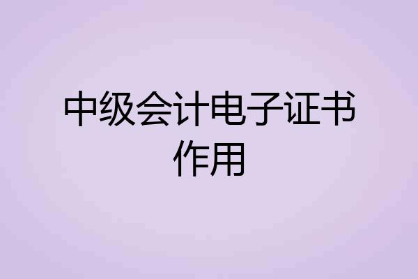 中级会计电子证书作用