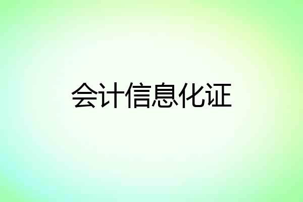 会计信息化证