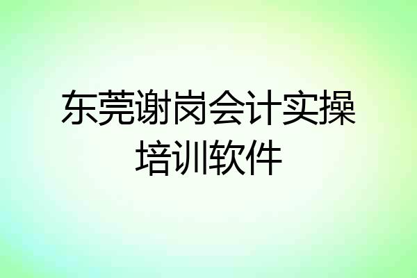 东莞谢岗会计实操培训软件