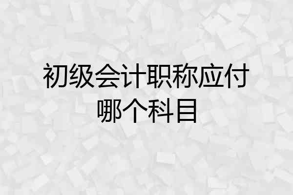 初级会计职称应付哪个科目