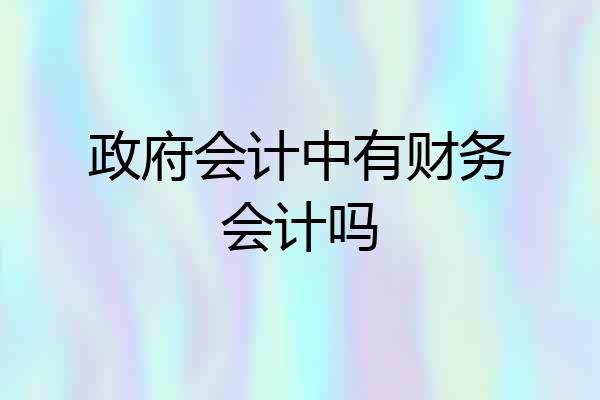 政府会计中有财务会计吗