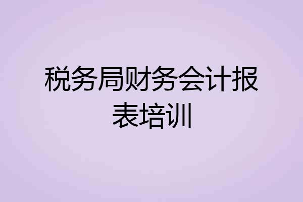 税务局财务会计报表培训