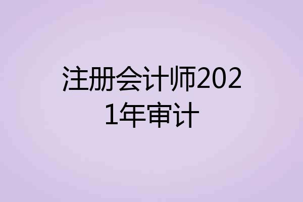 注册会计师2021年审计