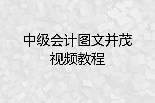 中级会计图文并茂视频教程