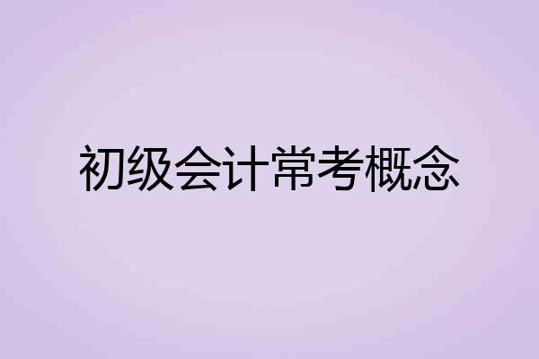 初级会计常考概念