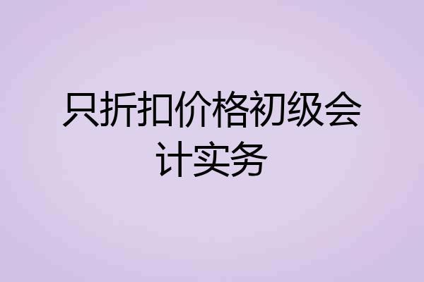 只折扣价格初级会计实务