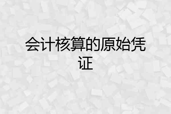 会计核算的原始凭证