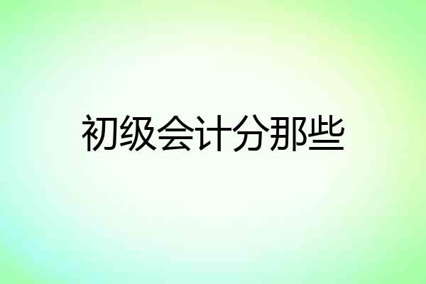 初级会计分那些
