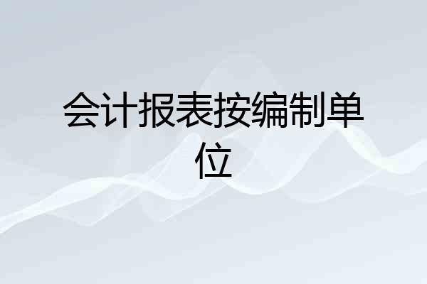 会计报表按编制单位