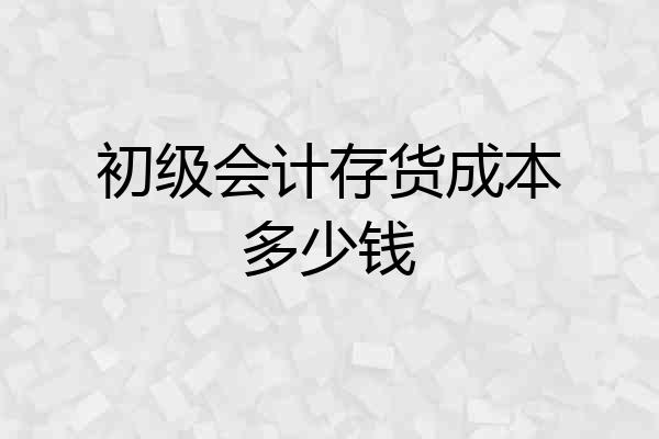 初级会计存货成本多少钱