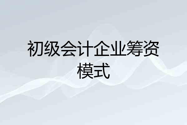 初级会计企业筹资模式