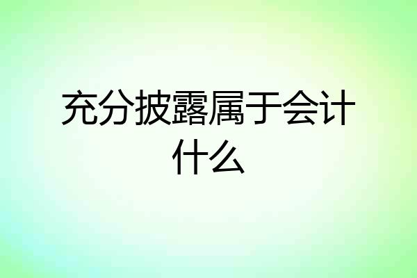 充分披露属于会计什么