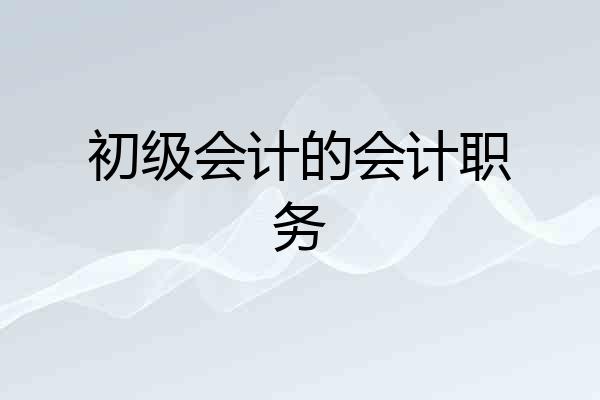初级会计的会计职务