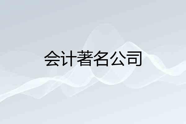 会计著名公司