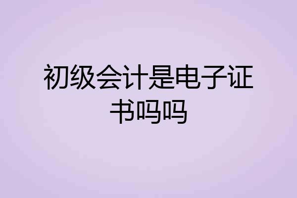 初级会计是电子证书吗吗