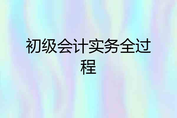 初级会计实务全过程