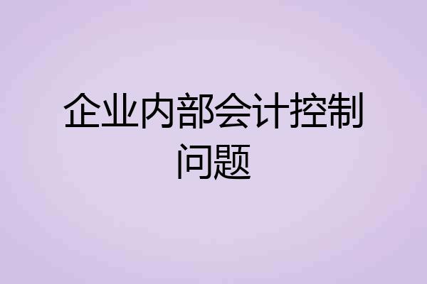企业内部会计控制问题