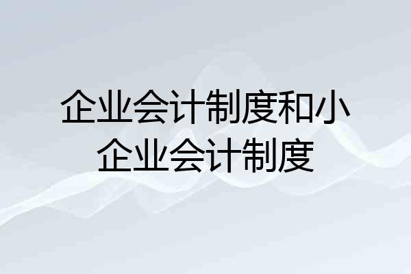 企业会计制度和小企业会计制度