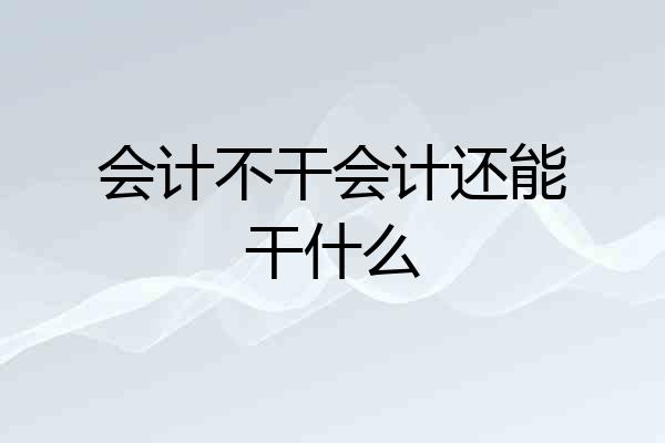 会计不干会计还能干什么