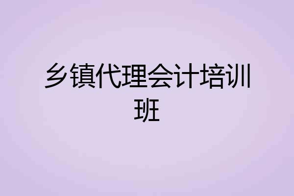 乡镇代理会计培训班