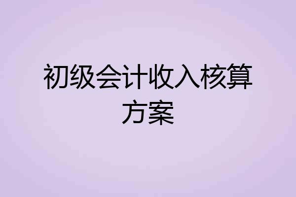 初级会计收入核算方案