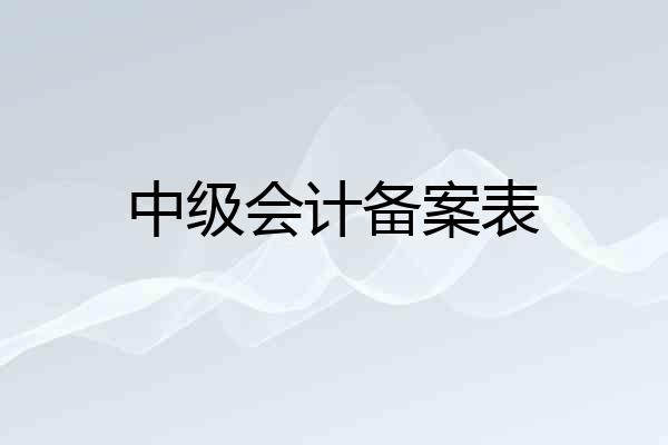 中级会计备案表