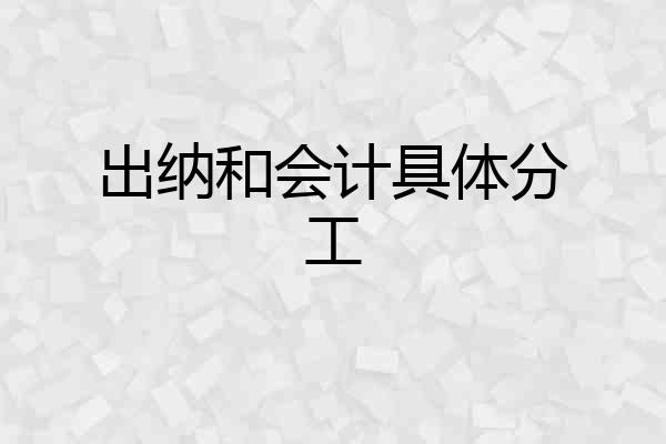 出纳和会计具体分工