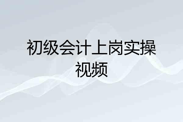 初级会计上岗实操视频