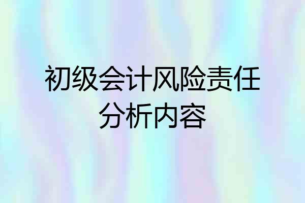 初级会计风险责任分析内容