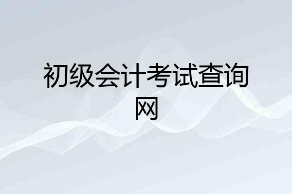 初级会计考试查询网