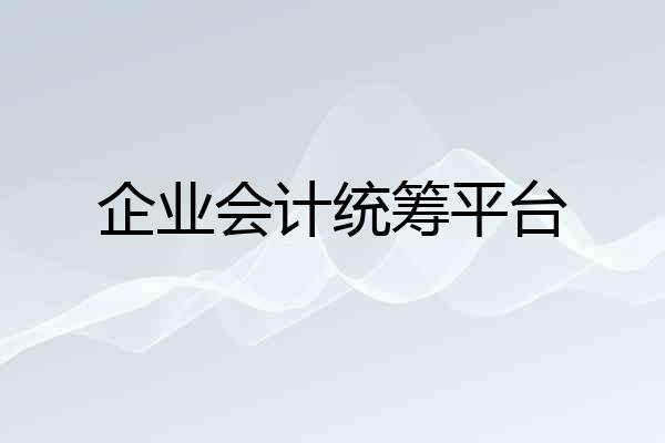 企业会计统筹平台