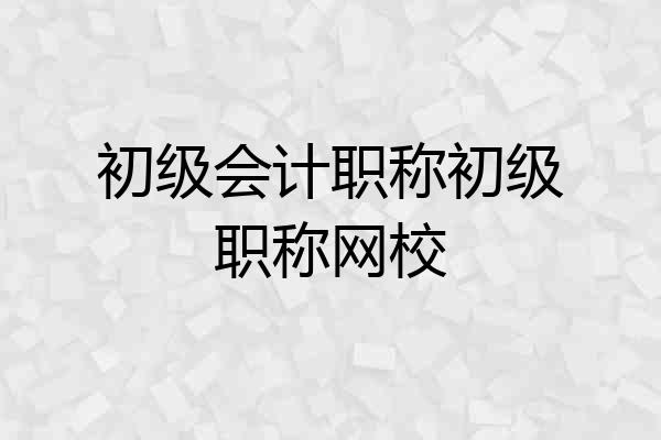 初级会计职称初级职称网校