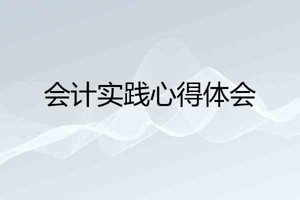 会计实践心得体会