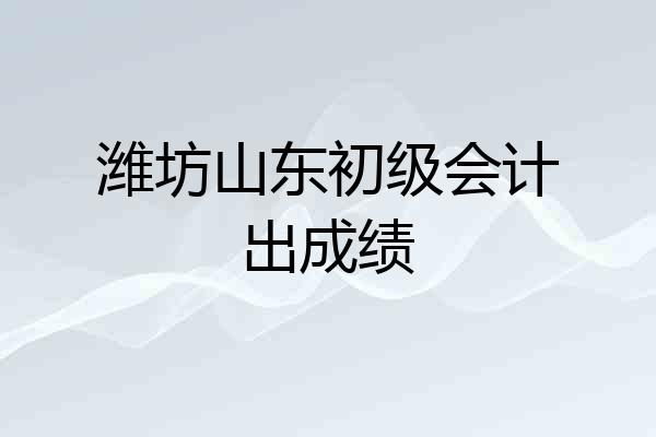 潍坊山东初级会计出成绩