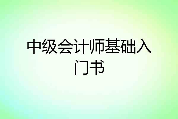 中级会计师基础入门书
