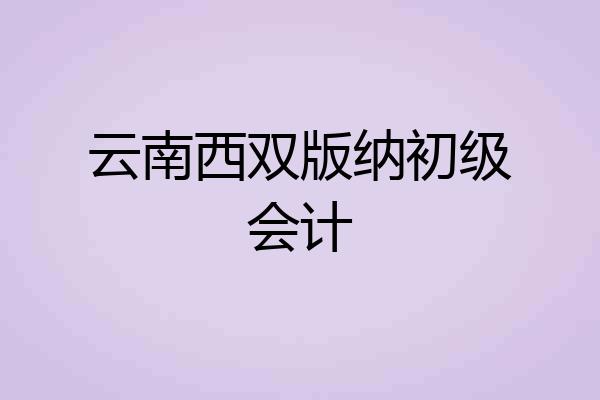 云南西双版纳初级会计