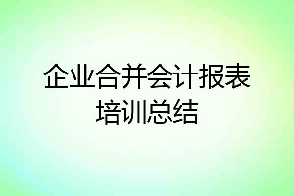 企业合并会计报表培训总结