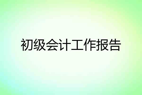 初级会计工作报告