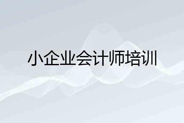 小企业会计师培训