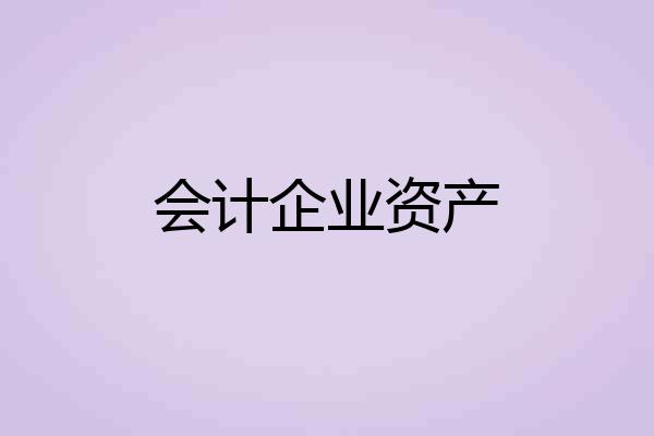 会计企业资产
