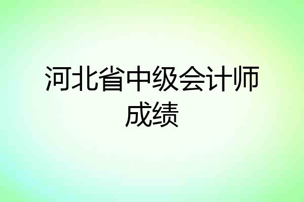 河北省中级会计师成绩