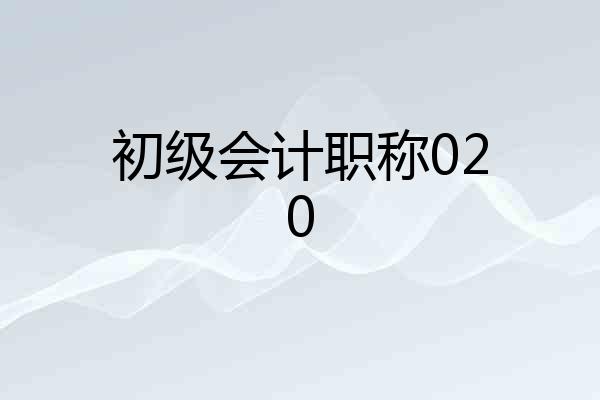 初级会计职称020