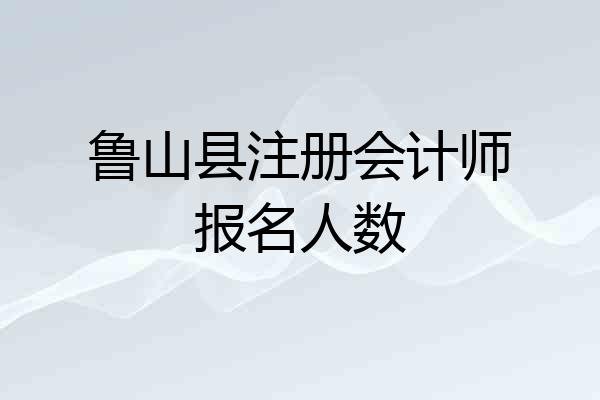 鲁山县注册会计师报名人数