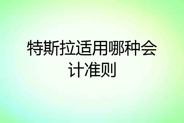 特斯拉适用哪种会计准则