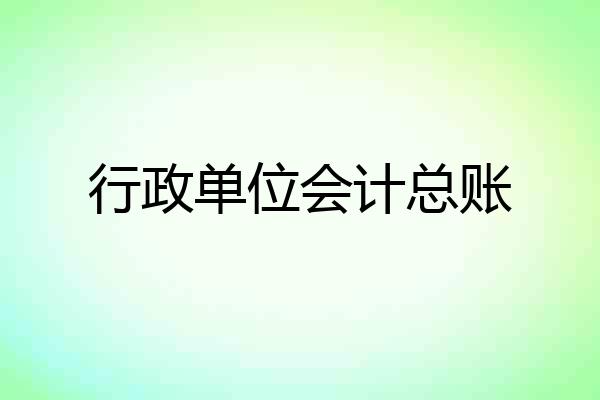 行政单位会计总账