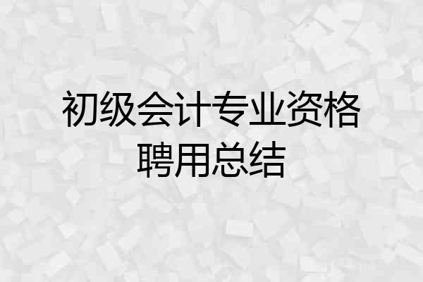 初级会计专业资格聘用总结
