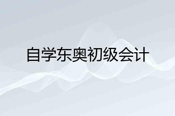 自学东奥初级会计