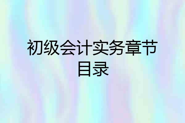 初级会计实务章节目录